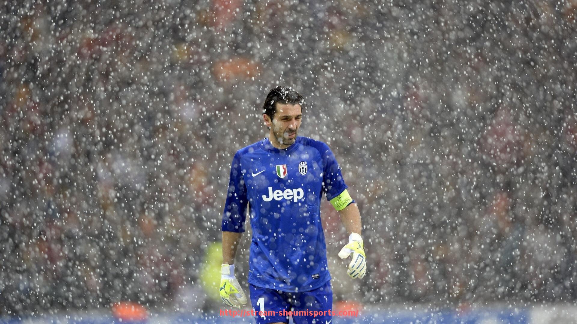 收米体育直播-德甲球队吉祥物名字及其设计理念揭秘